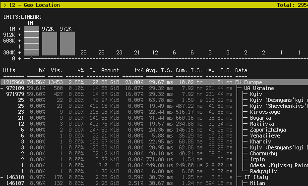 GoAccess Geo Location panel TUI