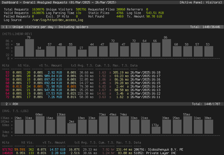 GoAccess Dashboard 1