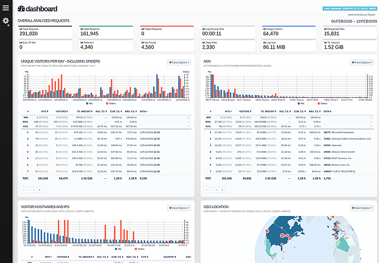 GoAccess Dashboard 2